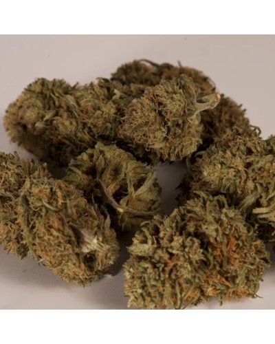 Elsass Fever – Fleur de Chanvre Bio CBD 5-10% | Relaxante & Anti-Douleurs