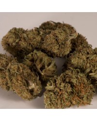 Elsass Fever – Fleur de Chanvre Bio CBD 5-10% | Relaxante & Anti-Douleurs