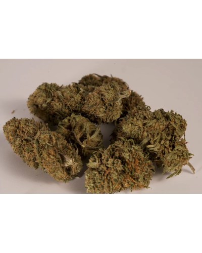 SUNDGAU SENSI – Fleur de Chanvre Bio CBD 5-10% | Détente douce