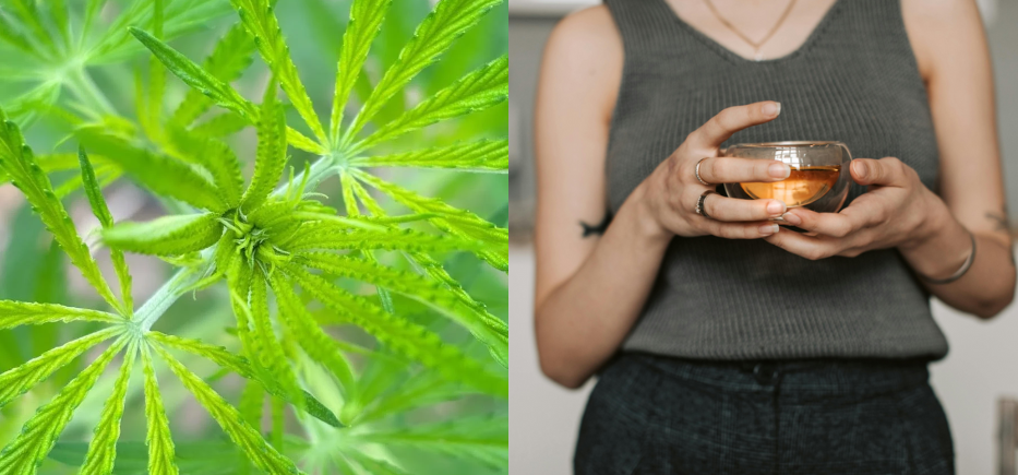 CBD : Comment l'intégrer à son quotidien ?