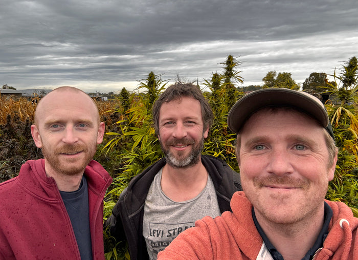 Photographie du trio souriant qui a co-crée l'entreprise KTAZ, producteur et distributeur de CBD alsacien certifié Agriculture Biologique, devant leur champ.